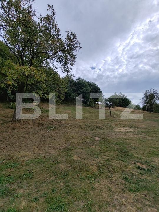 Teren de vânzare Ulmoasa - 205641TV | BLITZ Baia Mare | Poza2