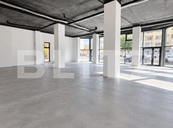 Spațiu comercial de închiriat Vasile Alecsandri - 205938SIC | BLITZ Baia Mare | Poza1