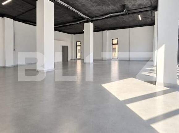 Spațiu comercial de închiriat Vasile Alecsandri - 205938SIC | BLITZ Baia Mare | Poza2