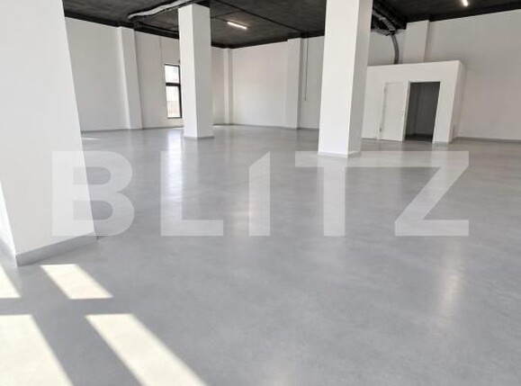 Spațiu comercial de închiriat Vasile Alecsandri - 205938SIC | BLITZ Baia Mare | Poza3