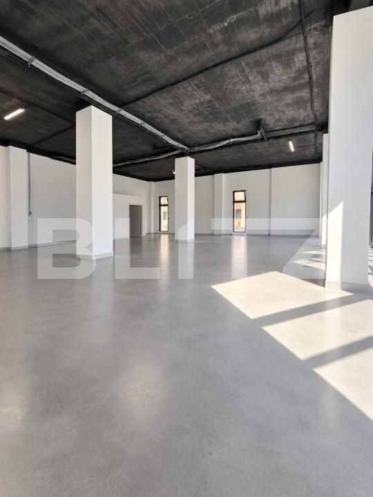 Spațiu comercial de închiriat Vasile Alecsandri - 205938SIC | BLITZ Baia Mare | Poza2