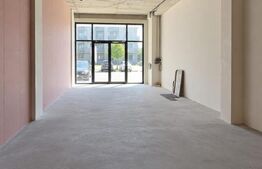 Spatiu comercial, 80 mp, zona Vasile Alecsandri 