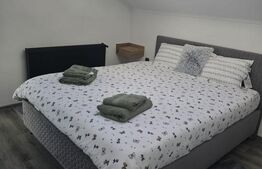 Casa indiviuala, 217 mp, zona Busag 