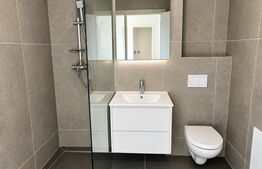Apartament 2 camere, 40 mp, zona Orasul Vechi 