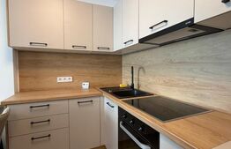 Apartament 2 camere, 42 mp, Strada Lupului