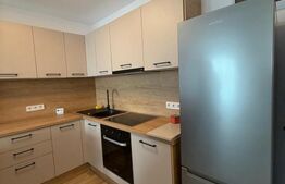 Apartament 2 camere, 42 mp, Strada Lupului