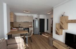 Apartament 2 camere, 42 mp, Strada Lupului