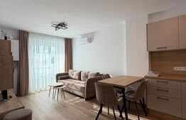 Apartament 2 camere, 42 mp, Strada Lupului