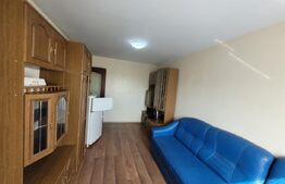 Garsoniera de inchiriat, 22 mp, zona Tepes