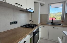 Apartament 3 camere, 68 mp, Str. Vasile Lucaciu 