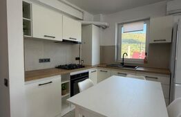 Apartament 3 camere, 68 mp, Str. Vasile Lucaciu 
