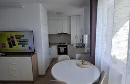 Apartament de închiriat 2 camere Valea Borcutului - 208546AI | BLITZ Baia Mare | Poza1