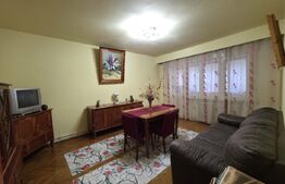 Apartament de vânzare 3 camere Exterior Vest - 171028AV | BLITZ Baia Mare | Poza2