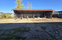 Hale de inchiriat, 520 mp, teren 2.827 mp, zona Exterior 