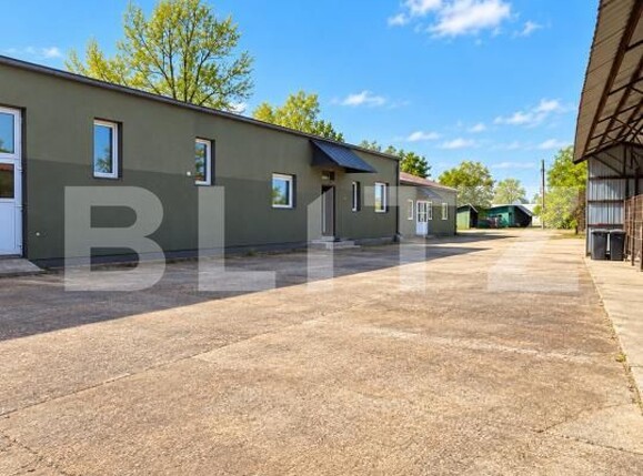 Spațiu comercial de închiriat Exterior Sud - 207300SIC | BLITZ Baia Mare | Poza1