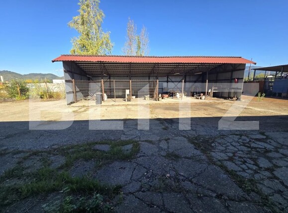 Spațiu comercial de închiriat Exterior Sud - 207300SIC | BLITZ Baia Mare | Poza9
