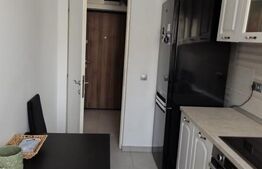 Apartament cu 2 camere, 48 mp, Str. Victor Babes