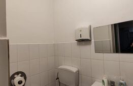 Spatiu comercial, 207 mp, zona Ramira