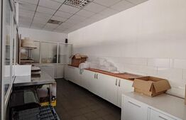 Spatiu comercial, 207 mp, zona Ramira