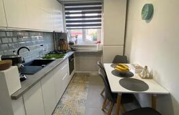 Apartament cu 2 camere, 50 mp, zona Independentei