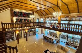 Proprietate de vanzare, 500 mp, teren 4000 mp, Baia Sprie 