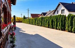 Proprietate de vanzare, 500 mp, teren 4000 mp, Baia Sprie 