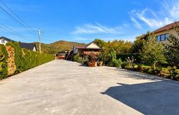 Proprietate de vanzare, 500 mp, teren 4000 mp, Baia Sprie 