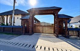 Proprietate de vanzare, 500 mp, teren 4000 mp, Baia Sprie 