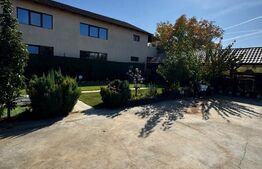 Proprietate de vanzare, 500 mp, teren 4000 mp, Baia Sprie 