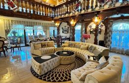 Proprietate de vanzare, 500 mp, teren 4000 mp, Baia Sprie 