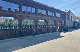 Proprietate de vanzare, 500 mp, teren 4000 mp, Baia Sprie 