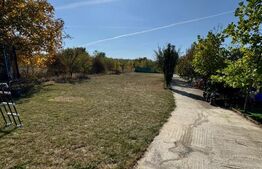 Proprietate de vanzare, 500 mp, teren 4000 mp, Baia Sprie 