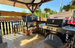 Proprietate de vanzare, 500 mp, teren 4000 mp, Baia Sprie 