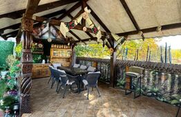 Proprietate de vanzare, 500 mp, teren 4000 mp, Baia Sprie 