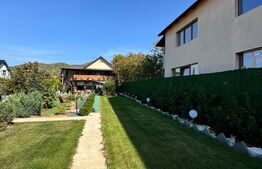 Proprietate de vanzare, 500 mp, teren 4000 mp, Baia Sprie 