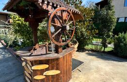 Proprietate de vanzare, 500 mp, teren 4000 mp, Baia Sprie 