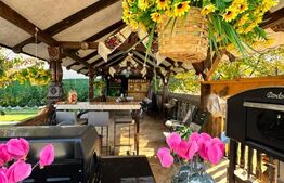 Proprietate de vanzare, 500 mp, teren 4000 mp, Baia Sprie 