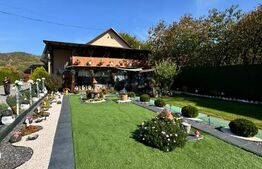 Proprietate de vanzare, 500 mp, teren 4000 mp, Baia Sprie 