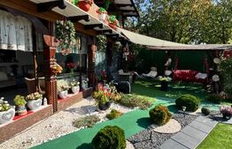 Proprietate de vanzare, 500 mp, teren 4000 mp, Baia Sprie 