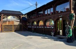 Proprietate de vanzare, 500 mp, teren 4000 mp, Baia Sprie 