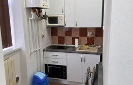 Garsonieră de închiriat, 23 mp, zona Sasar