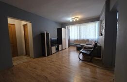 Apartament de vânzare 3 camere Vasile Alecsandri - 196584AV | BLITZ Baia Mare | Poza3