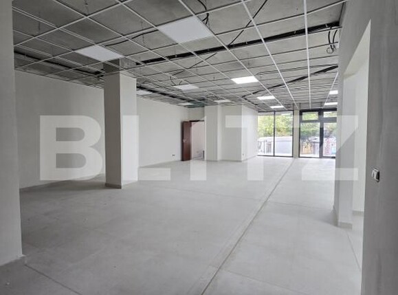 Spațiu comercial de închiriat Sasar - 207997SIC | BLITZ Baia Mare | Poza11