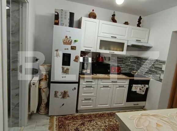 Casa de vânzare 1 camera Orasul Vechi - 208049CV | BLITZ Baia Mare | Poza1