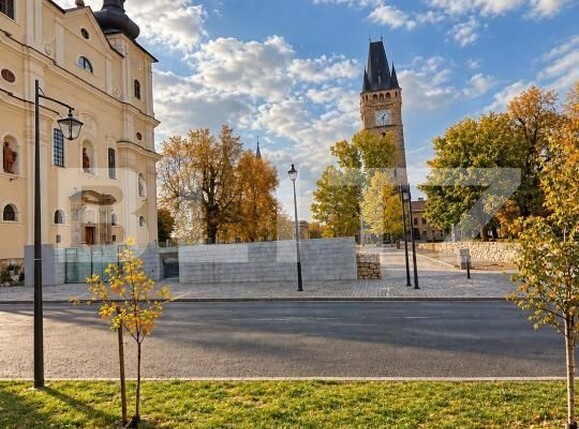 Casa de vânzare 1 camera Orasul Vechi - 208049CV | BLITZ Baia Mare | Poza8