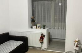 Apartament 2 camere, 45 mp, Str. Victor Babeș 