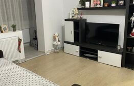 Apartament de închiriat 2 camere Sasar - 209086AI | BLITZ Baia Mare | Poza1
