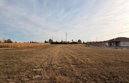 EXCLUSIVITATE BLITZ | Teren 3.600 mp | Strada Vrancei |