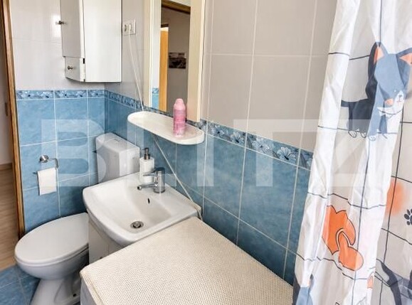 Apartament de închiriat 2 camere Central - 208545AI | BLITZ Baia Mare | Poza5