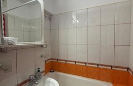Garsonieră de închiriat, 25 mp, zona Bucla – Str. Victoriei 